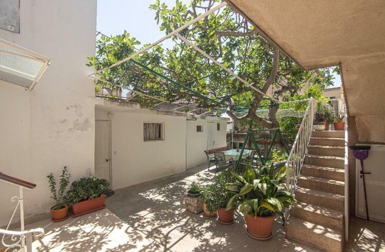 Apartma Marko